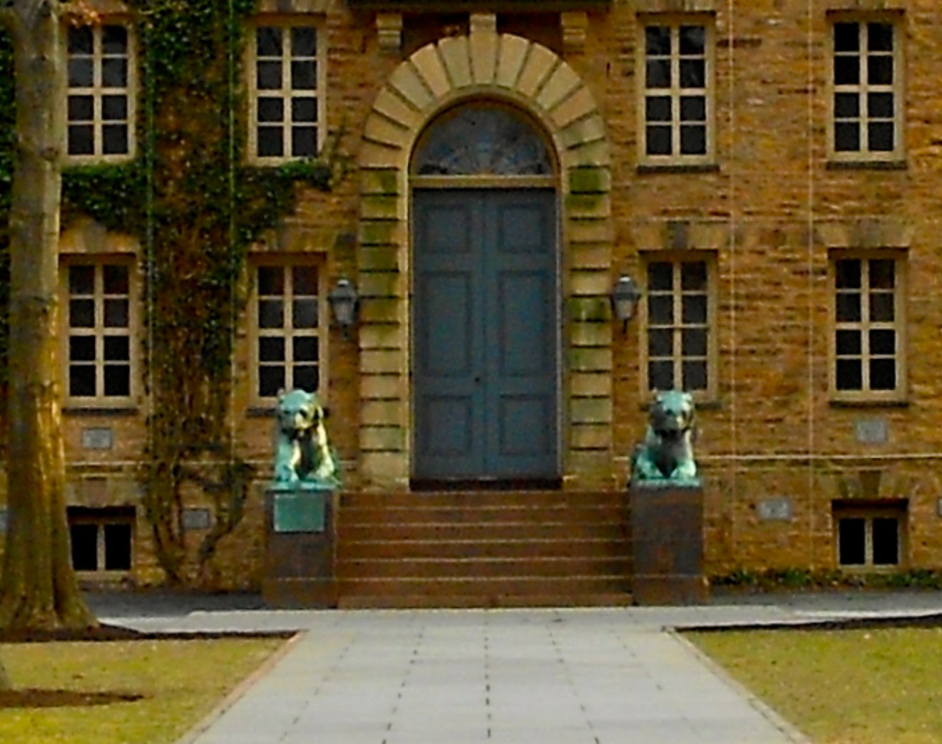 creative commons free use pic of nassau hall